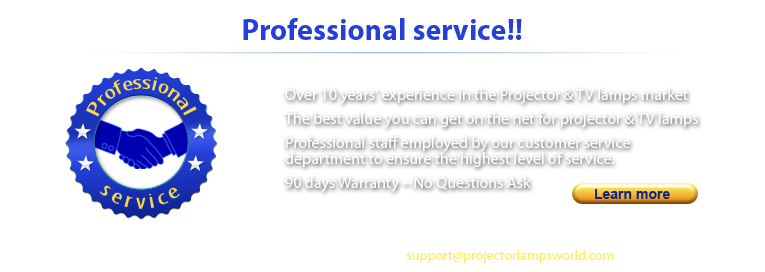 Professional service